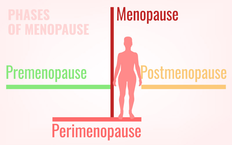 The different stages of Menopause