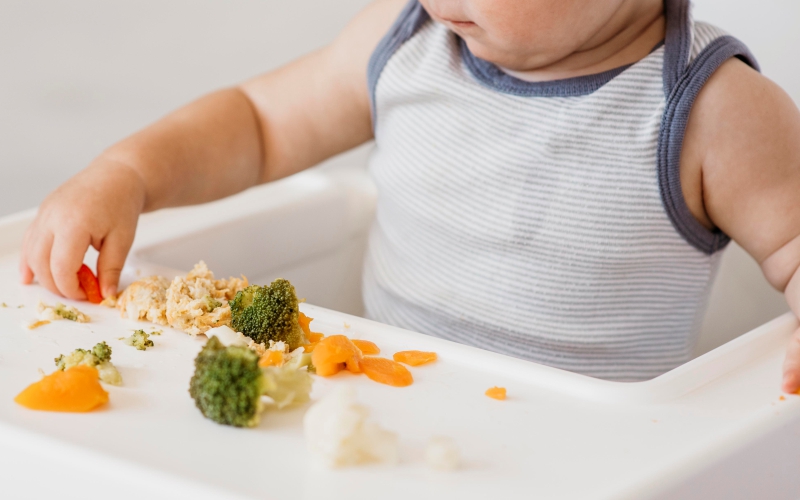 Tips for Developing Healthy Eating Habits in Toddlers - Motherhood India Hospital