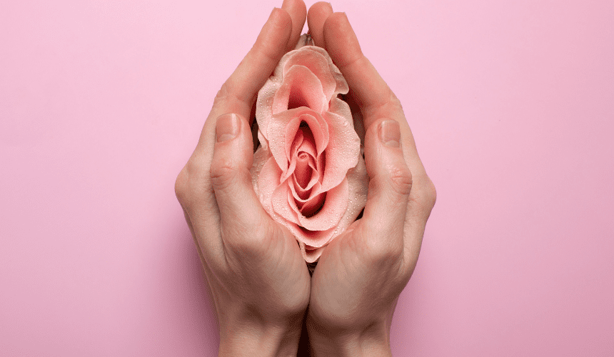 Common Causes of Abnormal Vaginal Bleeding in Postmenopausal Women