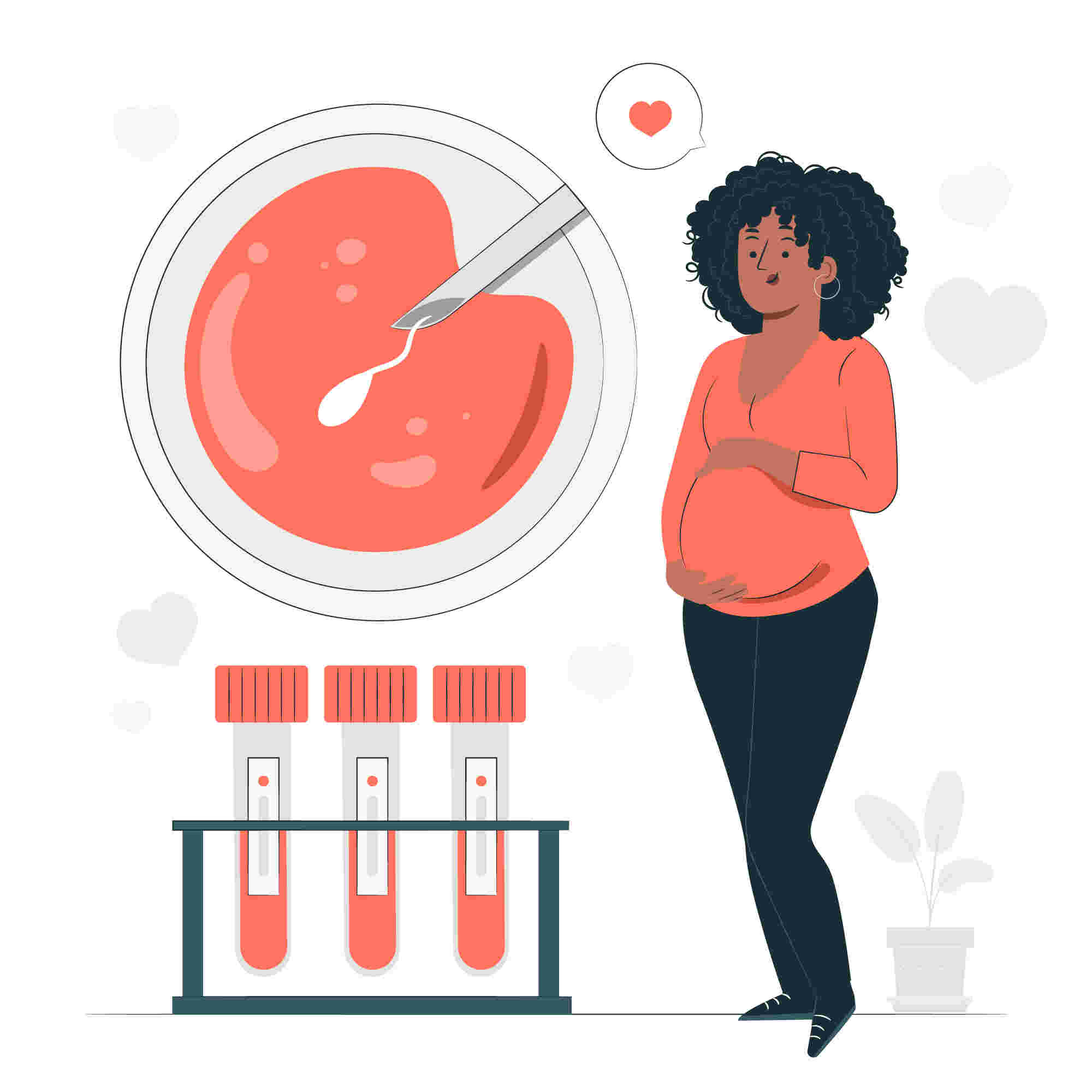 Best Diet for IVF Pregnant Women