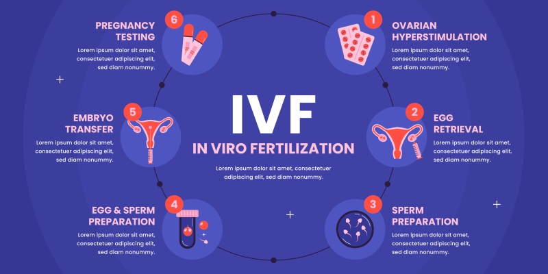 Step by step guide for IVF guid
