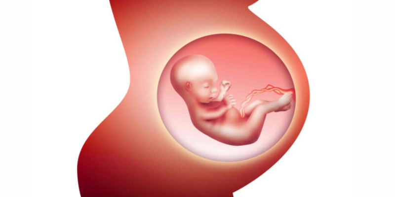 fetal heart monitoringg