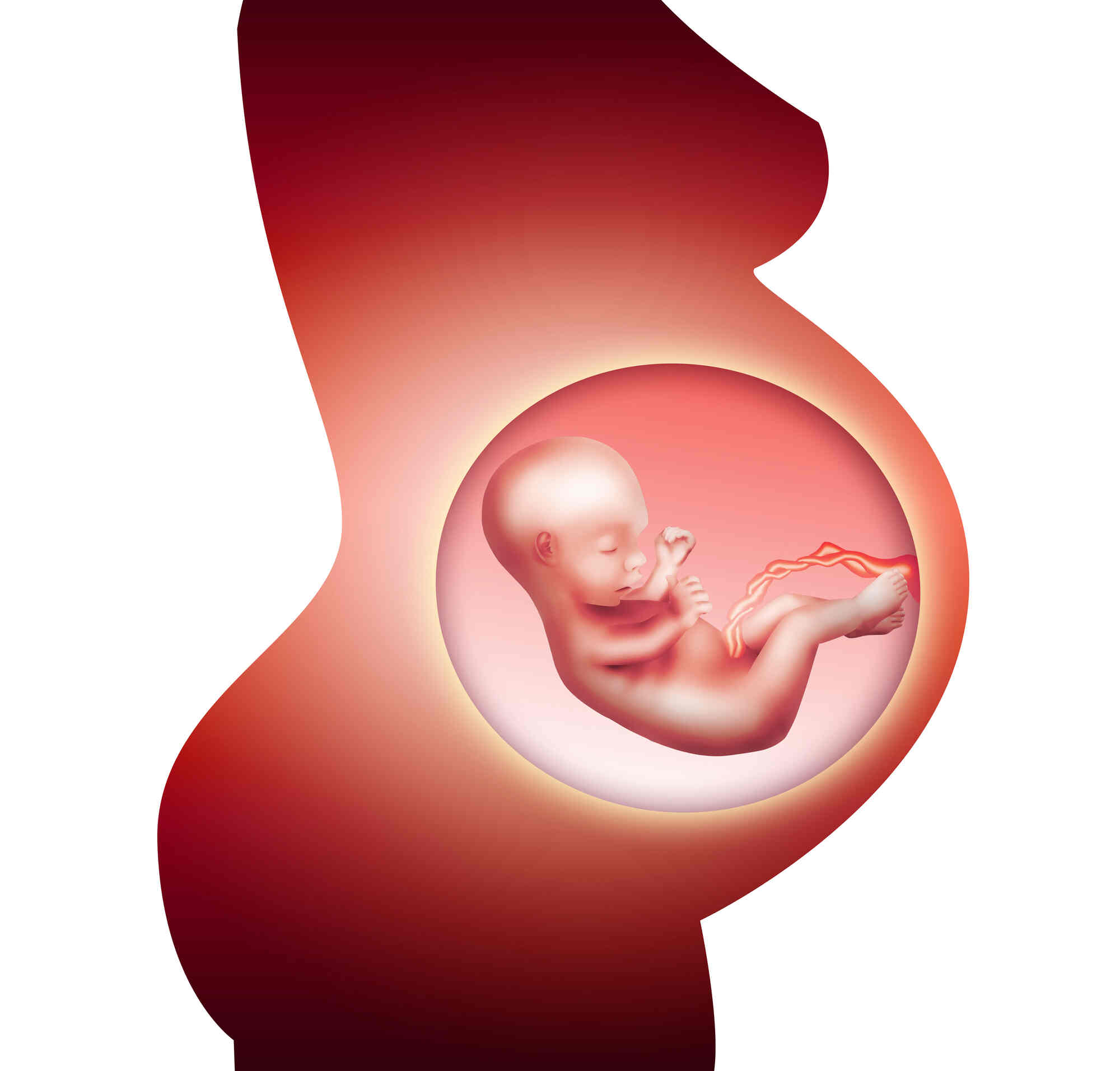 Antenatal Maternal and Fetal Screening