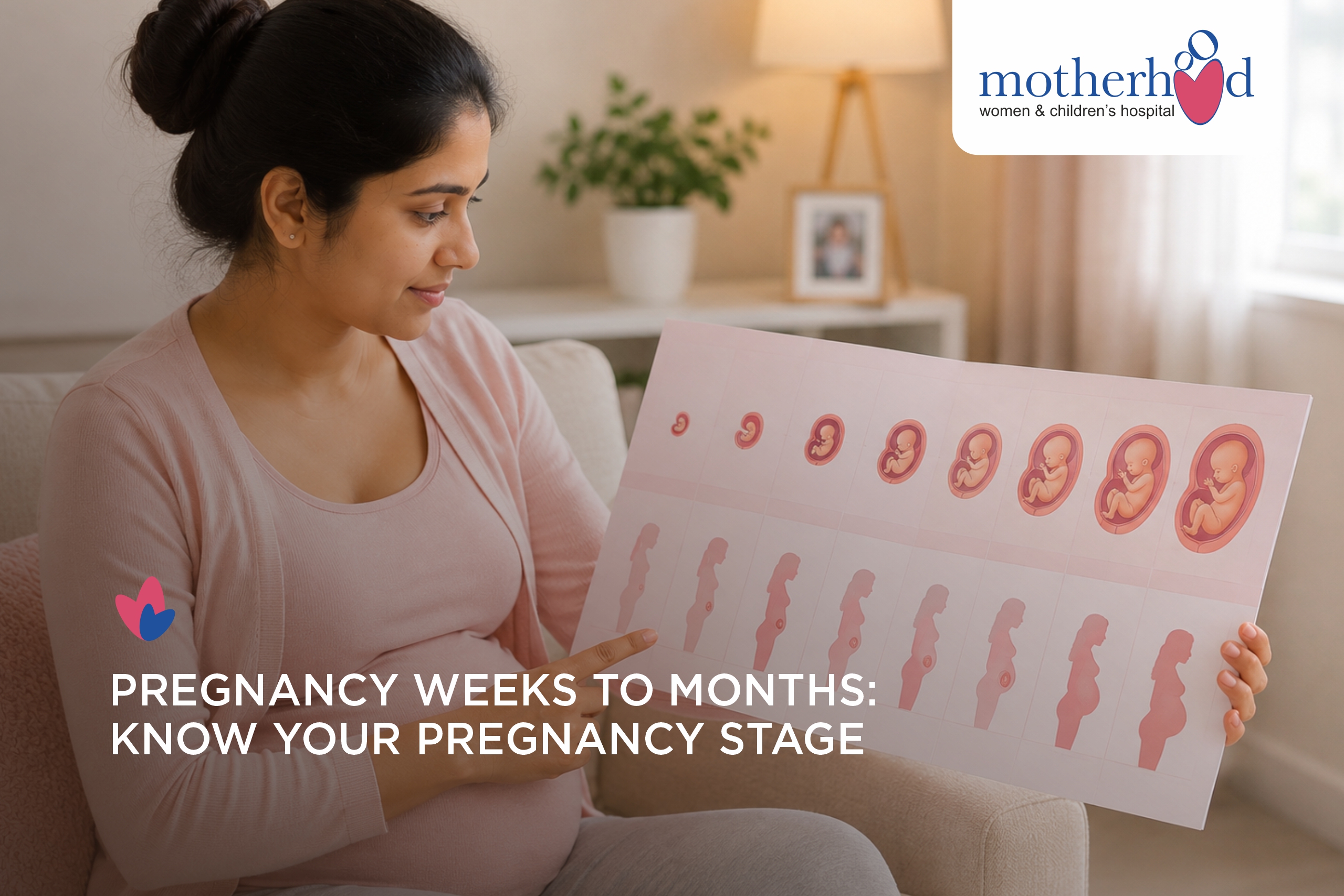 Pregnancy Weeks to Months: Week and Month Chart