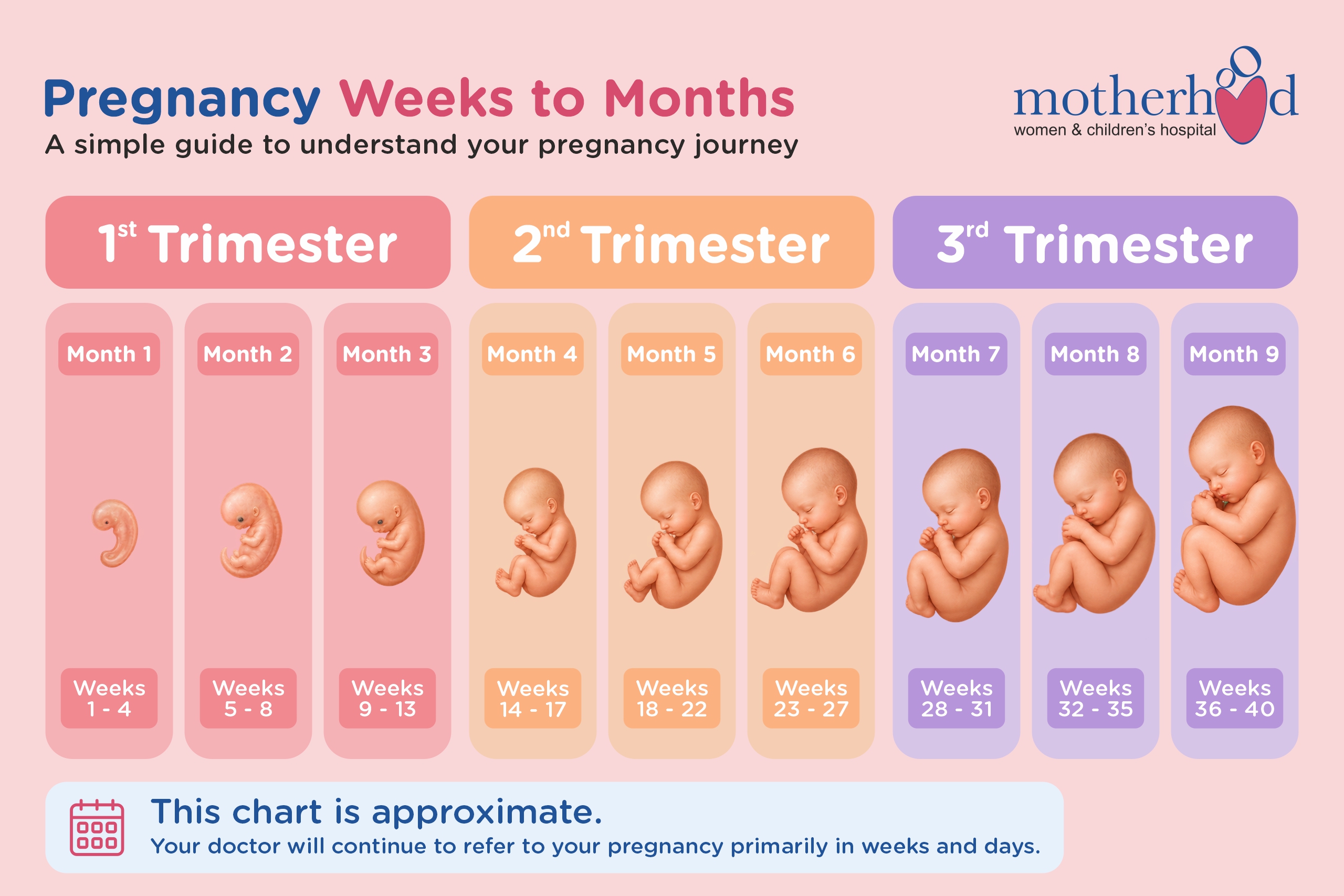 Pregnancy Trimester Blog